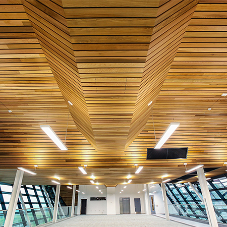 Wood ceiling system for science park scheme